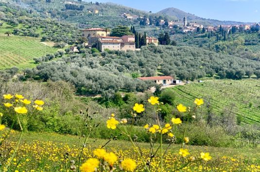 Mat, vin og kultur i Toscana med Temareiser Fredrikstad