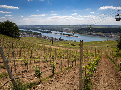 Vakre Rhin- og Moseldalen med Temareiser Fredrikstad