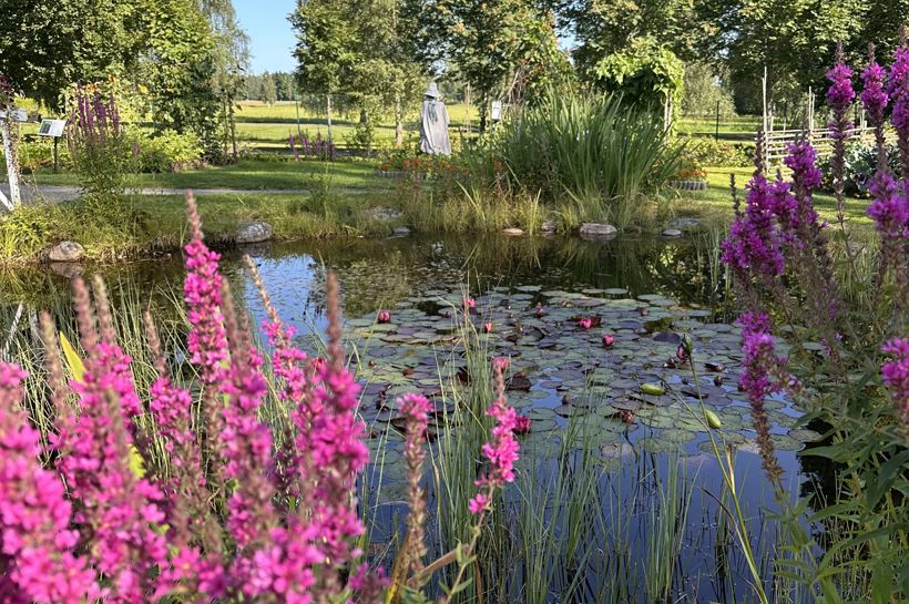 Reise til Värmland - i Selma Lagerlöfs og Lars Lerins fotspor med Temareiser Fredrikstad