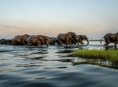 Reise til Zimbabwe, Botswana og Sør-Afrika med Temareiser Fredrikstad