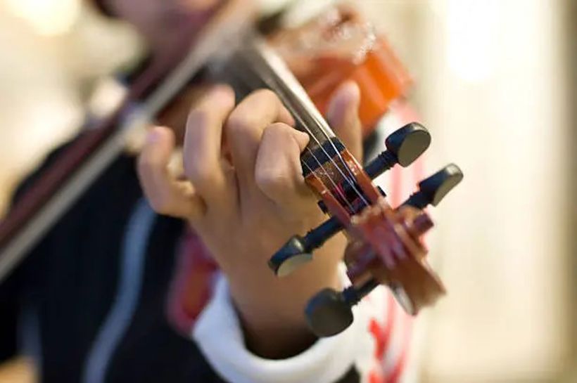 Thumbnail Fiolin, Gianlucabartoli