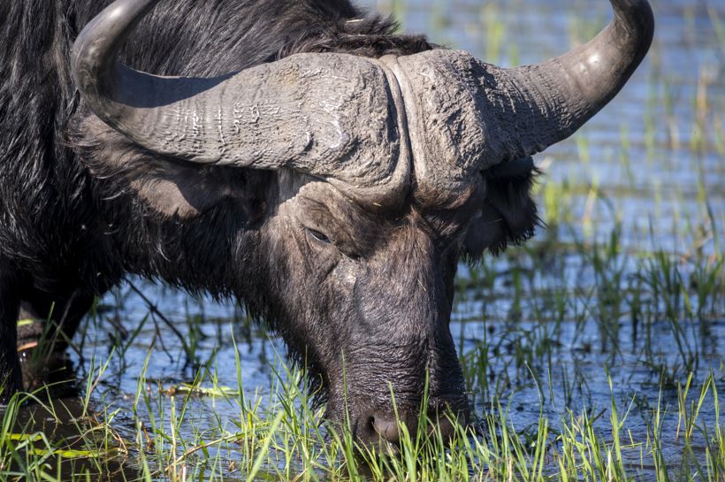 Reise til Zimbabwe, Botswana og Sør-Afrika med Temareiser Fredrikstad