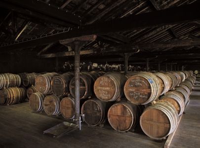 Reise til Braastads vinslott i hjertet av Cognac - Temareiser Fredrikstad