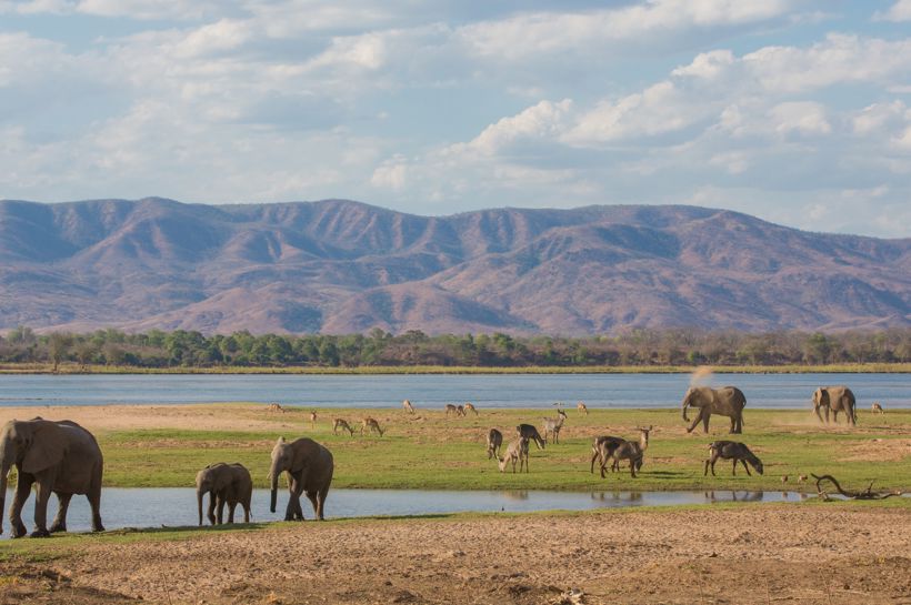 Reise til Zimbabwe, Botswana og Sør-Afrika med Temareiser Fredrikstad