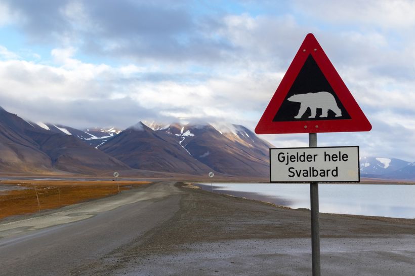Strikketur til Svalbard med Tove Fevang og Temareiser Fredrikstad