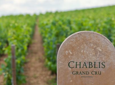 Chablis og Champagne med Temareiser Fredrikstad
