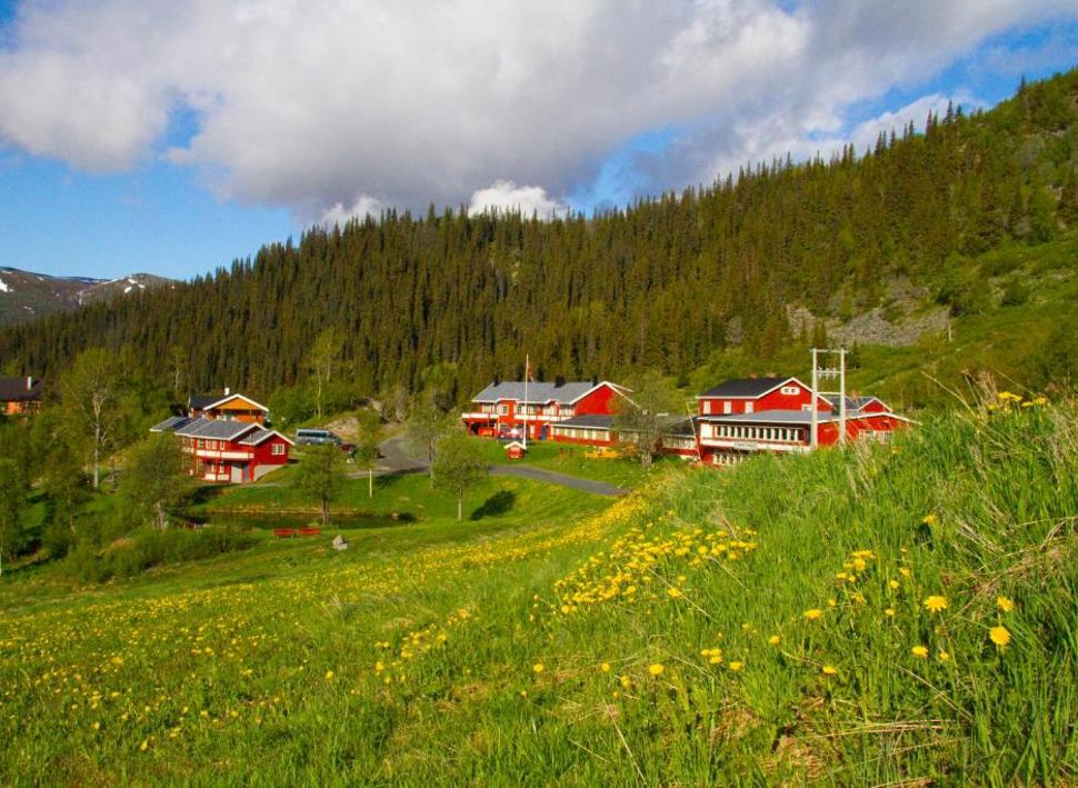 Grønolen Fjellgard