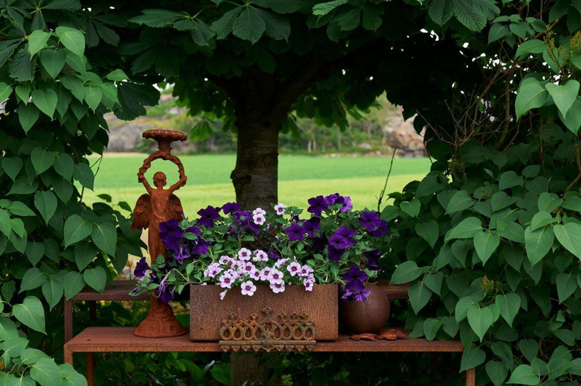 Bilde 9 Krediteres Fotograf Kristine Hellemo Larsen