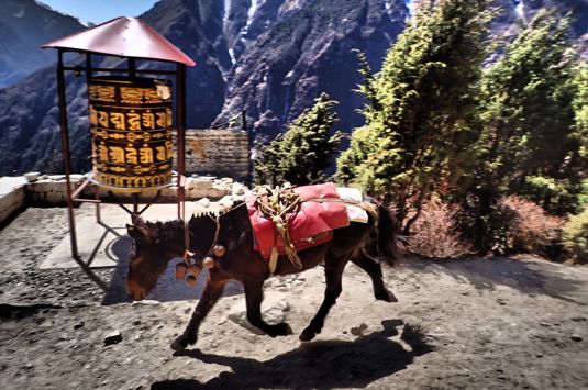 Reise til eventyrlige Nepal med Impact Norge og Temareiser Fredrikstad
