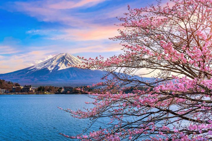 Bli med på cruise gjennom Japan og Sør-Korea