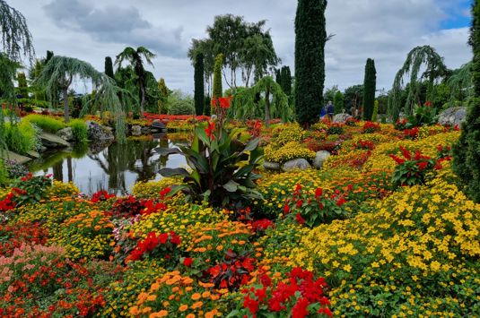 Norgesturer med Temareiser Fredrikstad, Tur til blomsterparken Flor og Fjære med Temareiser Fredrikstad