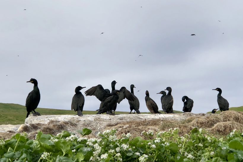 Reise til Finnmark med Temareiser Fredrikstad